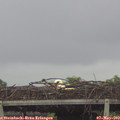 10_40-mast.jpg