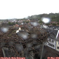 10_40-nest.jpg