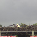 10_45-mast.jpg