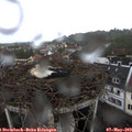 11_15-nest.jpg