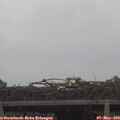 11_20-mast.jpg