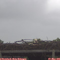 11_30-mast.jpg