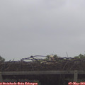 11_35-mast.jpg