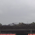 11_40-mast.jpg
