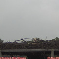 11_45-mast.jpg