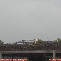 11_50-mast.jpg