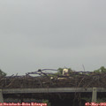 11_55-mast.jpg