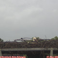 12_10-mast.jpg