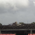 12_30-mast.jpg