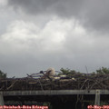 12_40-mast.jpg