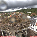 12_45-nest.jpg