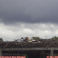 12_50-mast.jpg