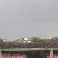 13_40-mast.jpg