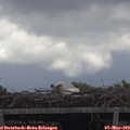 14_30-mast.jpg