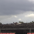 14_40-mast.jpg