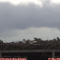 14_45-mast.jpg