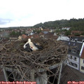 14_45-nest.jpg