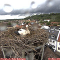 15_35-nest.jpg