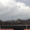 15_45-mast.jpg