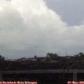 15_50-mast.jpg