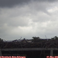 16_00-mast.jpg