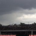 16_05-mast.jpg