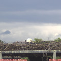 16_35-mast.jpg