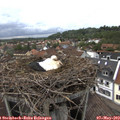 16_35-nest.jpg