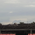17_00-mast.jpg
