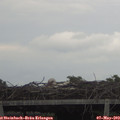 18_05-mast.jpg