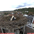 18_05-nest.jpg