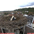18_10-nest.jpg