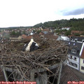 18_15-nest.jpg