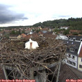 18_40-nest.jpg