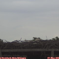 18_50-mast.jpg
