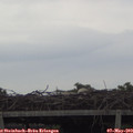 19_05-mast.jpg
