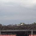 19_35-mast.jpg