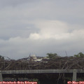 20_15-mast.jpg