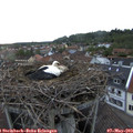 20_15-nest.jpg