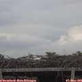 20_20-mast.jpg