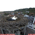 20_20-nest.jpg