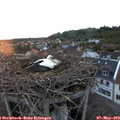 20_30-nest.jpg