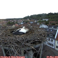 20_40-nest.jpg