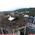 05_55-nest.jpg