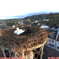 06_05-nest.jpg
