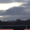06_45-mast.jpg