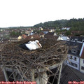 07_05-nest.jpg