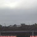 07_20-mast.jpg