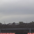 07_25-mast.jpg