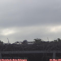 07_35-mast.jpg